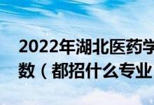 2022年湖北醫(yī)藥學(xué)院各省招生計(jì)劃及招生人數(shù)（都招什么專(zhuān)業(yè)）