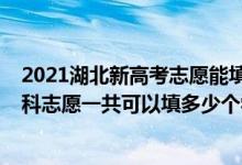2021湖北新高考志愿能填多少個(gè)學(xué)校（2022年湖北高考本科志愿一共可以填多少個(gè)學(xué)校）