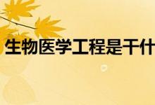 生物醫(yī)學工程是干什么的（就業(yè)方向有哪些）