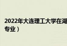 2022年大連理工大學(xué)在湖南招生計(jì)劃及招生人數(shù)（都招什么專業(yè)）