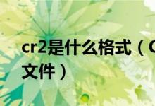 cr2是什么格式（CR2是佳能相機RAW格式文件）