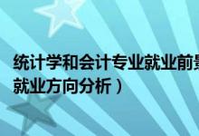 統(tǒng)計學(xué)和會計專業(yè)就業(yè)前景（2022年統(tǒng)計學(xué)專業(yè)就業(yè)前景和就業(yè)方向分析）
