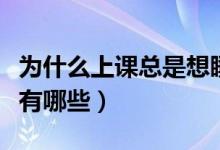 為什么上課總是想睡覺(jué)（防止上課睡覺(jué)的方法有哪些）