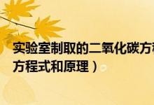 實驗室制取的二氧化碳方程式（實驗室制取二氧化碳的化學(xué)方程式和原理）