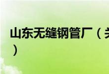 山東無縫鋼管廠（關于山東無縫鋼管廠的介紹）