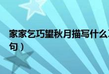 家家乞巧望秋月描寫什么習俗（家家乞巧望秋月上一句下一句）