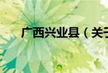 廣西興業(yè)縣（關(guān)于廣西興業(yè)縣的介紹）