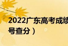 2022廣東高考成績(jī)查詢(xún)時(shí)間是什么時(shí)候（幾號(hào)查分）