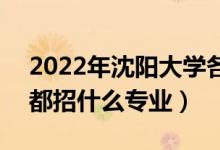 2022年沈陽大學(xué)各省招生計劃及招生人數(shù)（都招什么專業(yè)）