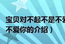 寶貝對(duì)不起不是不愛你（關(guān)于寶貝對(duì)不起不是不愛你的介紹）