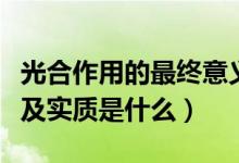光合作用的最終意義是什么（光合作用的意義及實質(zhì)是什么）