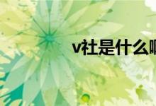 v社是什么?。╲社是什么）