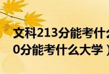 文科213分能考什么大學(xué)（2022高考藝術(shù)470分能考什么大學(xué)）