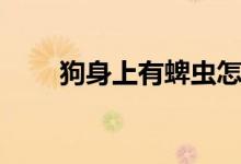 狗身上有蜱蟲怎么辦（什么是蜱蟲）