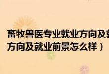 畜牧獸醫(yī)專業(yè)就業(yè)方向及就業(yè)前景（2022畜牧獸醫(yī)專業(yè)就業(yè)方向及就業(yè)前景怎么樣）