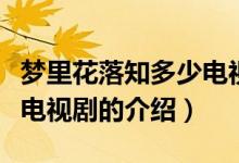 夢里花落知多少電視?。P(guān)于夢里花落知多少電視劇的介紹）