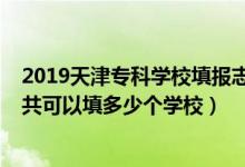 2019天津?qū)？茖W(xué)校填報(bào)志愿（2022年天津高考專(zhuān)科志愿一共可以填多少個(gè)學(xué)校）