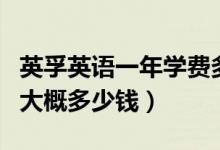 英孚英語一年學(xué)費多少錢（英孚英語一年費用大概多少錢）
