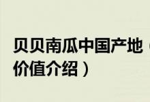 貝貝南瓜中國(guó)產(chǎn)地（貝貝南瓜中國(guó)產(chǎn)地及營(yíng)養(yǎng)價(jià)值介紹）