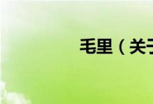 毛里（關(guān)于毛里的介紹）