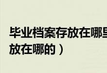 畢業(yè)檔案存放在哪里（大學(xué)畢業(yè)后的檔案是存放在哪的）