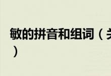 敏的拼音和組詞（關于敏的拼音和組詞的介紹）
