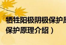 犧牲陽(yáng)極陰極保護(hù)原理是什么（犧牲陽(yáng)極陰極保護(hù)原理介紹）