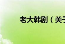 老大韓?。P(guān)于老大韓劇的介紹）