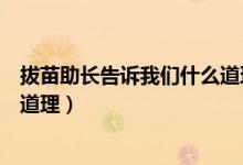 拔苗助長告訴我們什么道理二年級（拔苗助長告訴我們什么道理）
