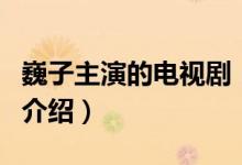巍子主演的電視?。P(guān)于巍子主演的電視劇的介紹）
