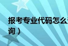 報考專業(yè)代碼怎么查2020（大學(xué)專業(yè)代碼查詢）
