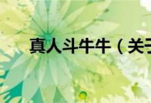 真人斗牛牛（關(guān)于真人斗牛牛的介紹）