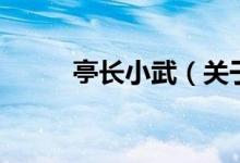 亭長小武（關于亭長小武的介紹）