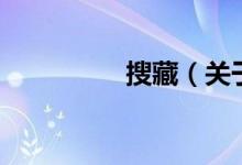 搜藏（關(guān)于搜藏的介紹）