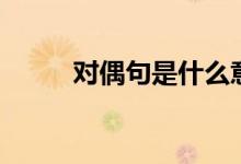 對偶句是什么意思（有哪些作用）