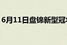 6月11日盤(pán)錦新型冠狀病毒肺炎疫情最新消息