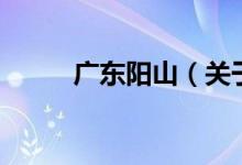 廣東陽山（關于廣東陽山的介紹）