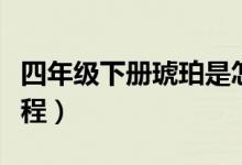 四年級下冊琥珀是怎么形成的（琥珀形成的過程）