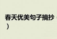 春天優(yōu)美句子摘抄（關(guān)于春天的優(yōu)美句子大全）