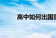 高中如何出國留學(xué)（流程是什么）