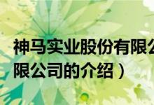 神馬實(shí)業(yè)股份有限公司（關(guān)于神馬實(shí)業(yè)股份有限公司的介紹）