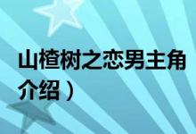 山楂樹之戀男主角（關于山楂樹之戀男主角的介紹）