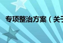 專項(xiàng)整治方案（關(guān)于專項(xiàng)整治方案的介紹）