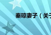 秦瓊妻子（關于秦瓊妻子的介紹）