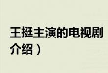 王挺主演的電視?。P(guān)于王挺主演的電視劇的介紹）