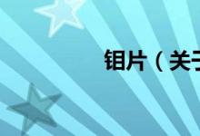 鉬片（關于鉬片的介紹）