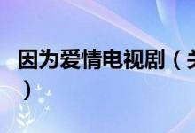 因為愛情電視?。P(guān)于因為愛情電視劇的介紹）