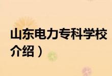 山東電力專科學校（關于山東電力?？茖W校的介紹）