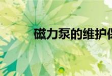 磁力泵的維護(hù)保養(yǎng)（磁力泵原理）