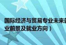 國際經濟與貿易專業(yè)未來就業(yè)（2022國際經濟與貿易專業(yè)就業(yè)前景及就業(yè)方向）